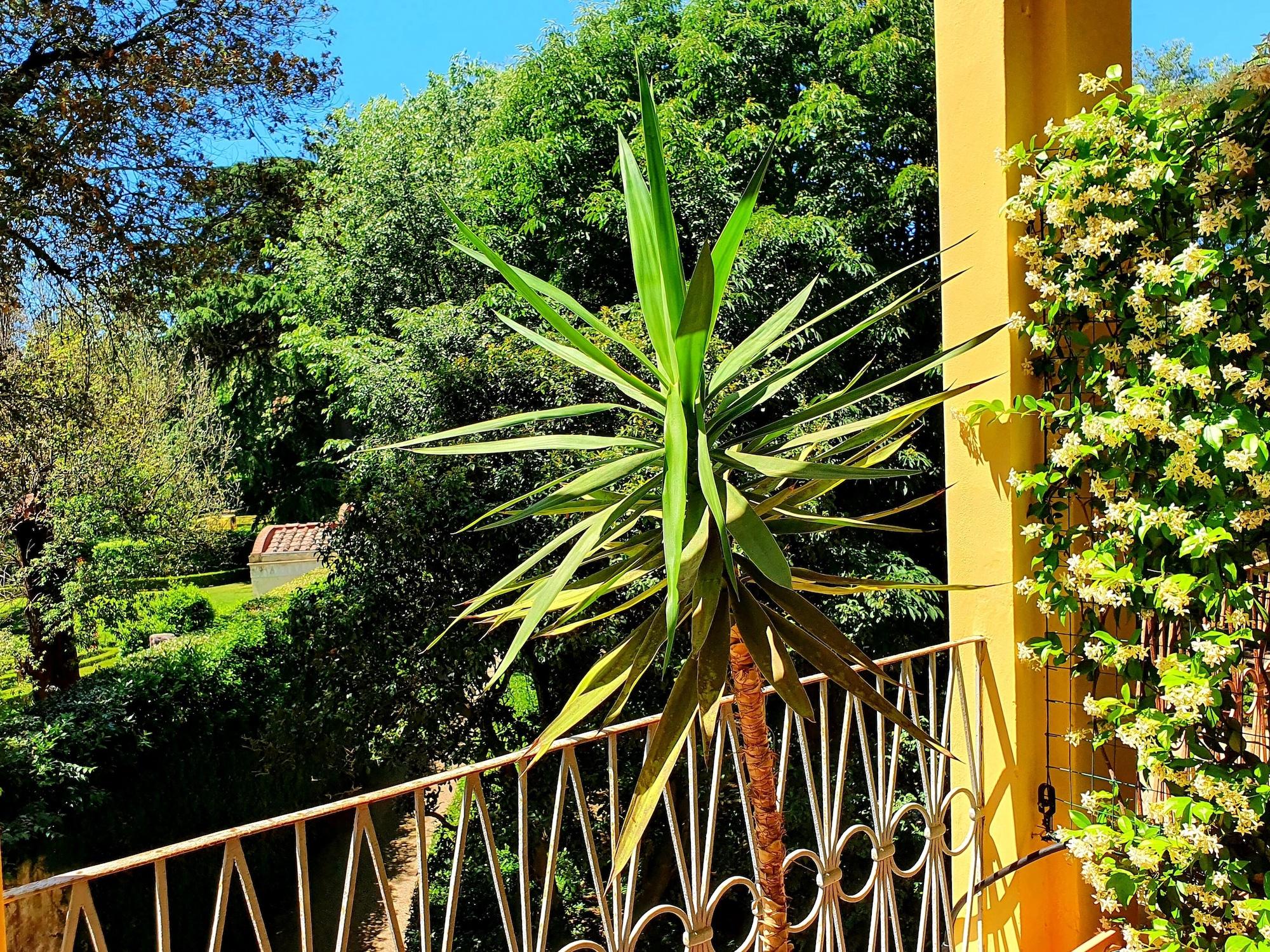 Hotel Annalena Florence Exterior photo